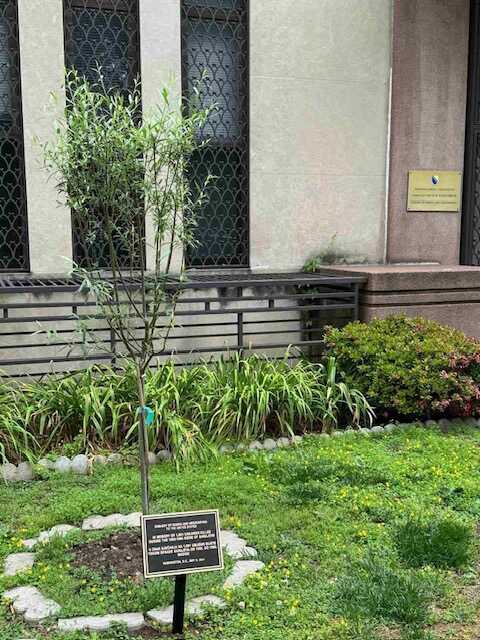 spomenik djeci sarajevo Ambasada BiH u Vašingtonu