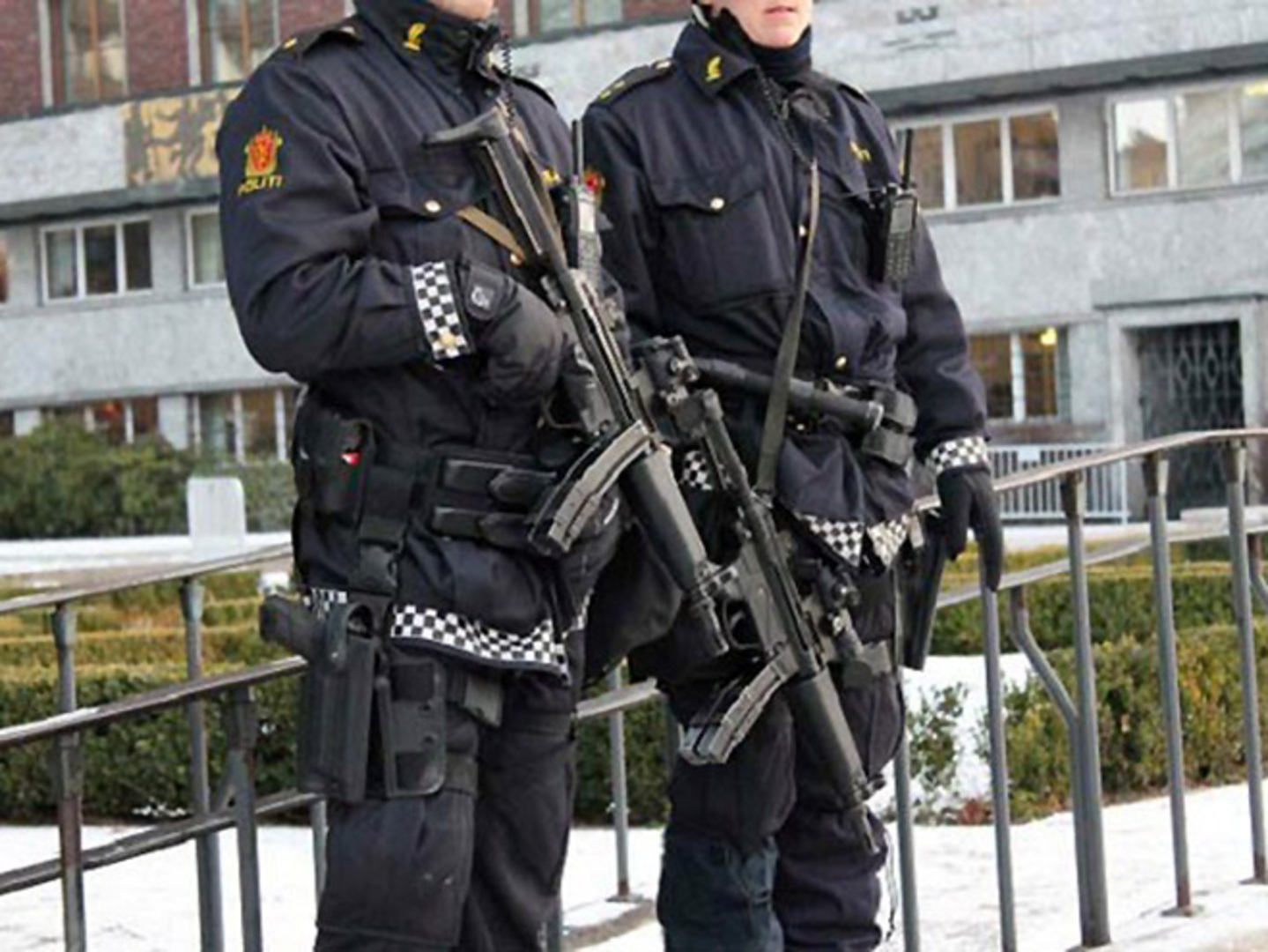 Policija norveska