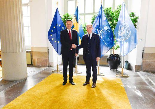 denis becirovic Tobias Billström svedska