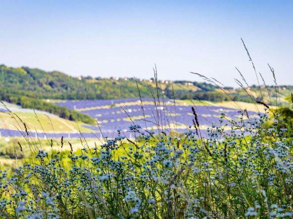 Solarna elektrana priroda IZVOR: PROFIMEDIA