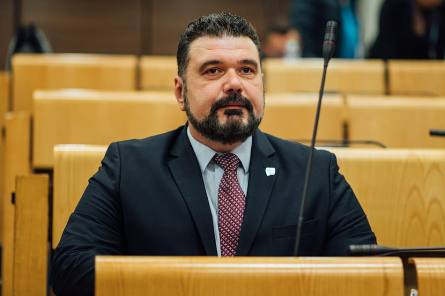 Mahir Mešalić fena