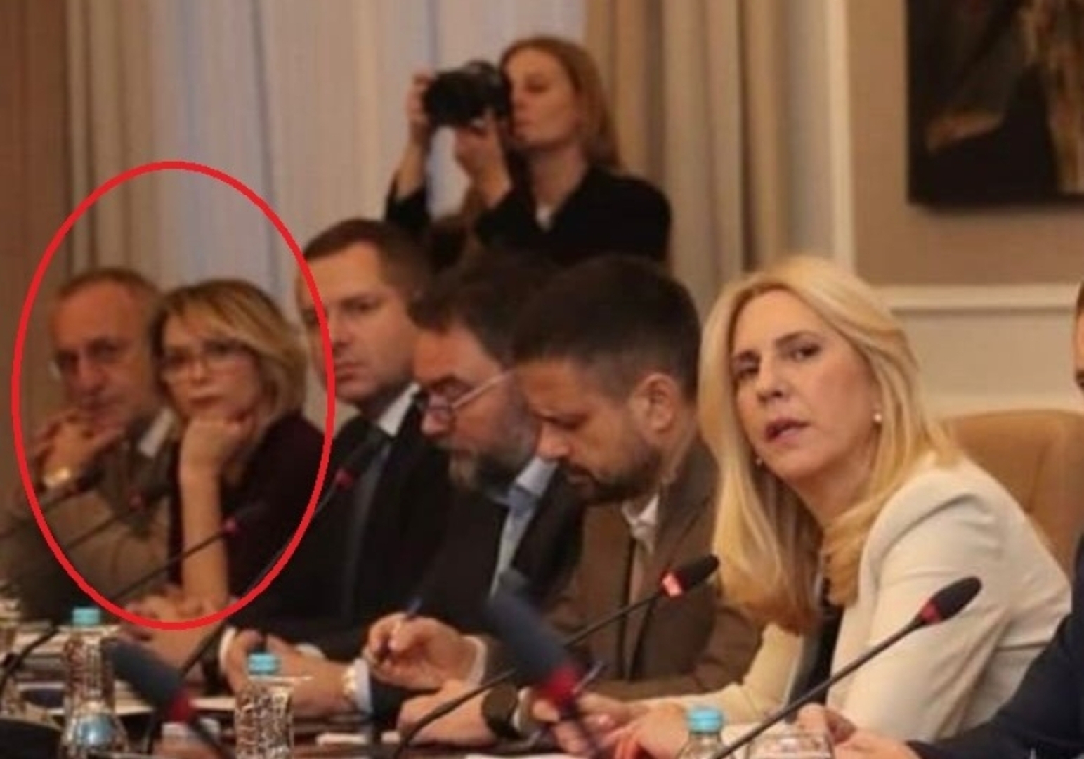 Ana Trisic Babic