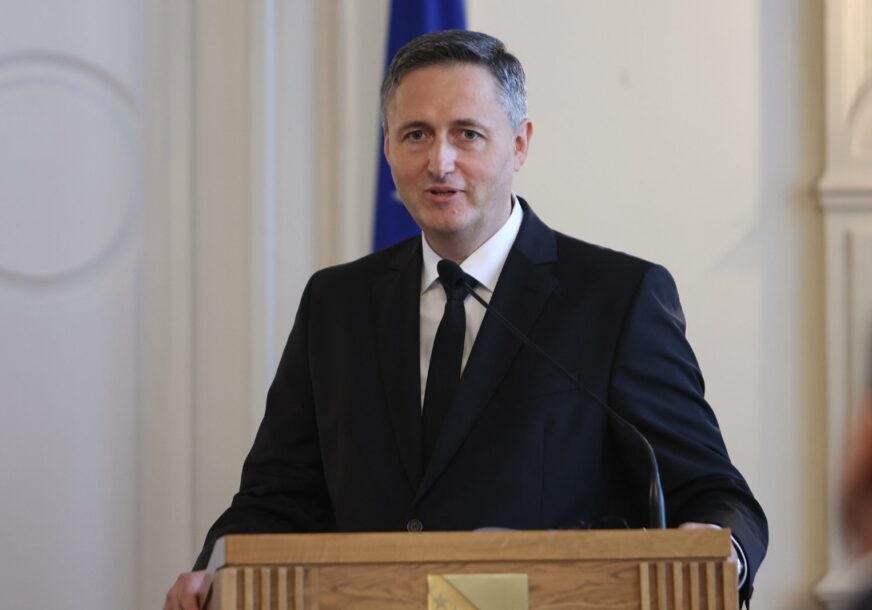Denis Becirovic 1 872x610