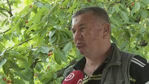 Dragutin Guzovski