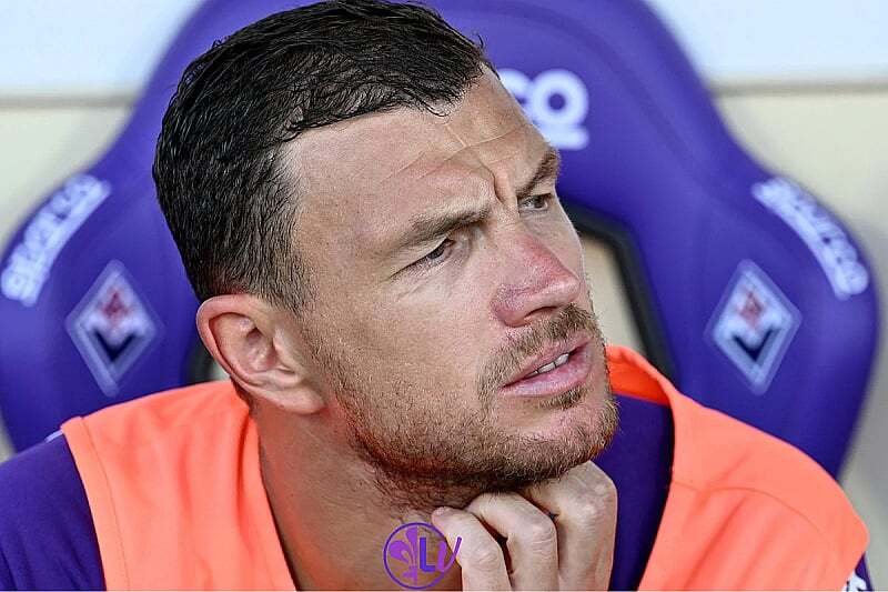Edin Dzeko Fiorentina