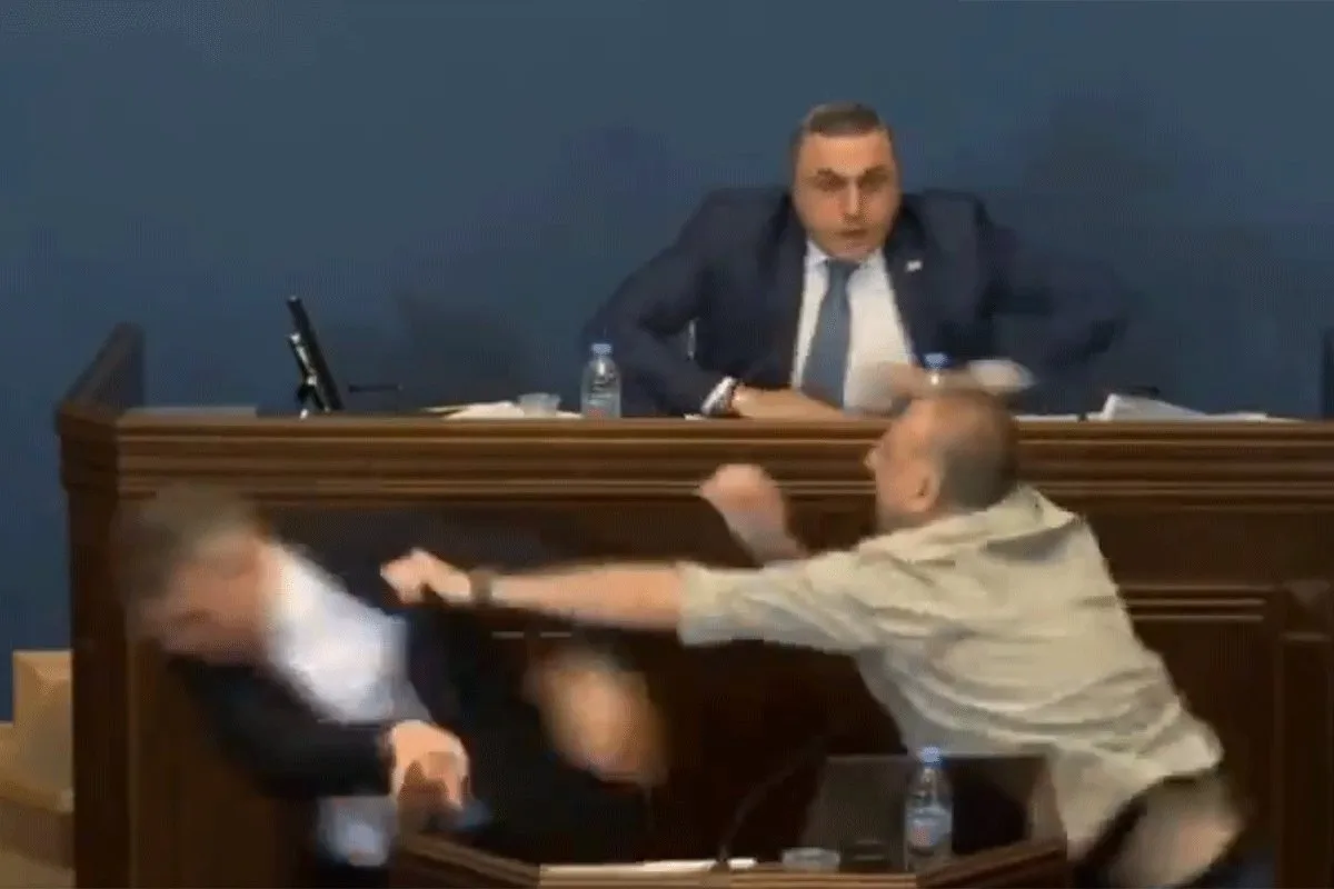 Gruzija parlament X