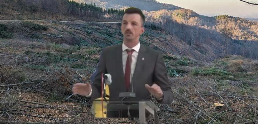 Nermin Deljkić  Suma sjeca autoceste tesanj