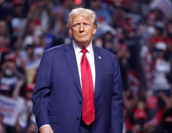 Donald Trump x