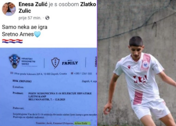 Arnes Zulić