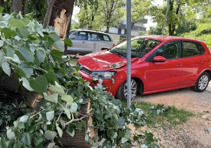 Banja luka drvo auto nesreca