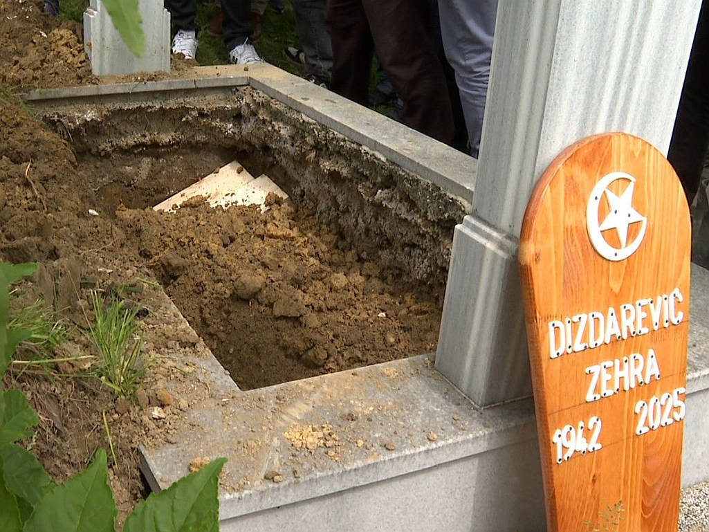 dzenaza zehra dizdarevic