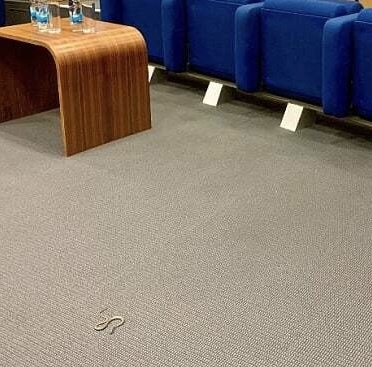 Zmija dom naroda pfbih