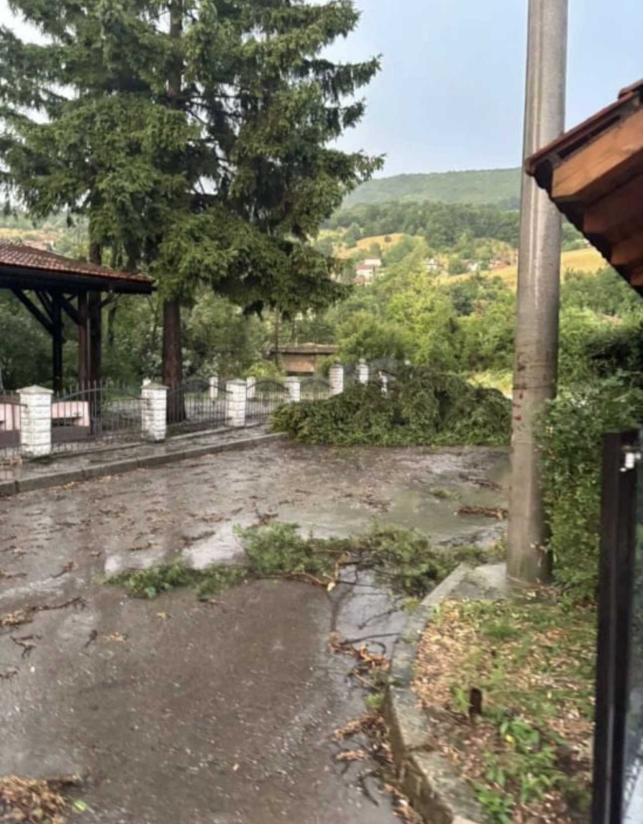 Breza nevrijeme