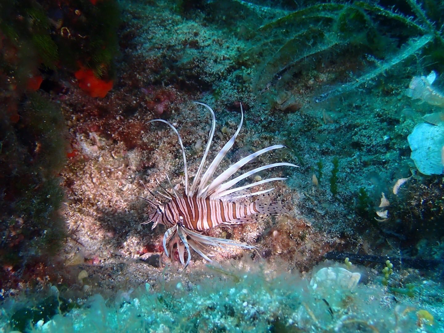 IMG 9564