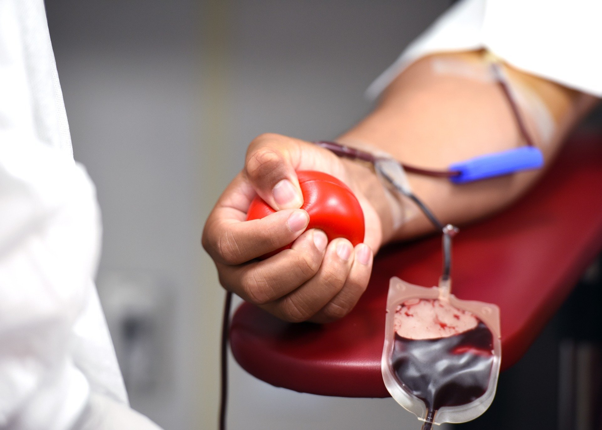 Krv Darovanje krvi