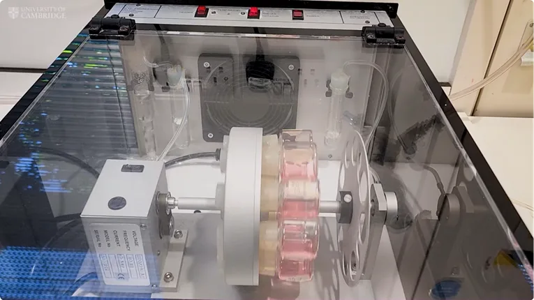 Maticne celije krvi stvorene u laboratoriji