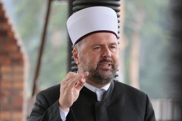 Mevludin ef Dizdarevic