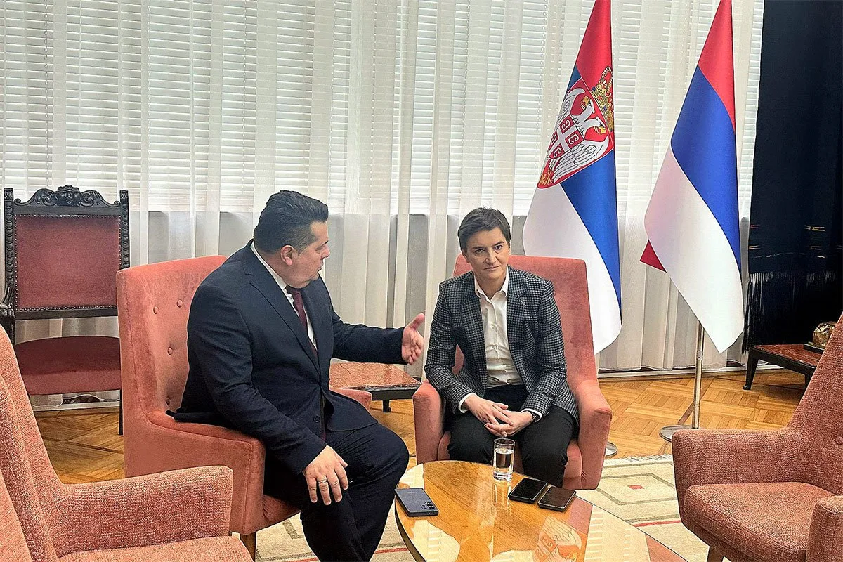 Nenad stevandic ana brnabic