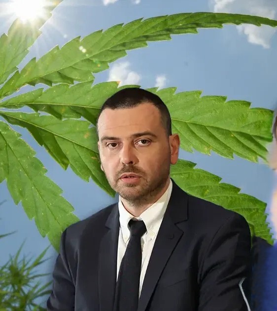 Sasa Magazinovic medicinska marihuana etto