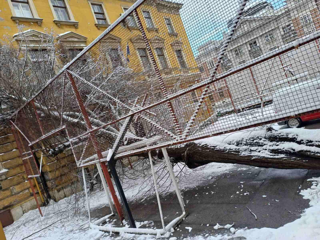 Skola Drvenija