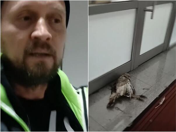 Srebrenik napd pasa lutalica ćurku odnio gradonačelniku pred kabinet