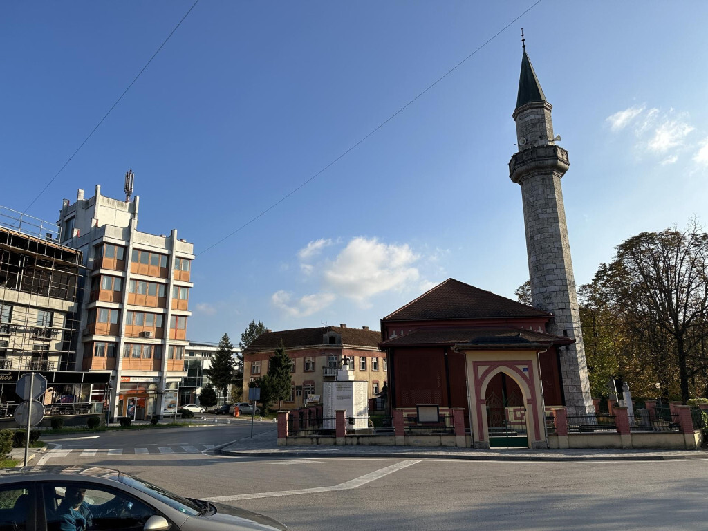 Velika kladusa