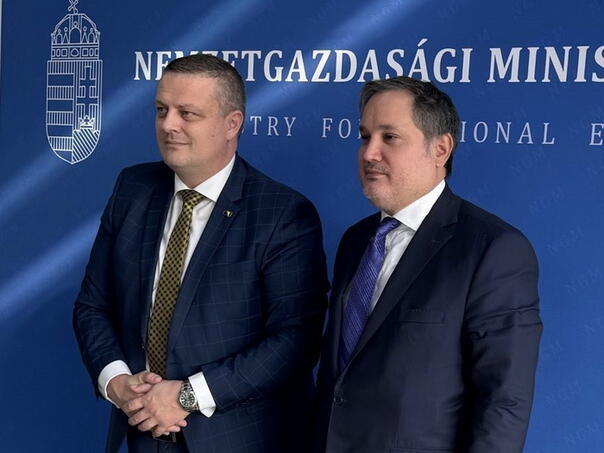 Vojin Mijatovic Madarska