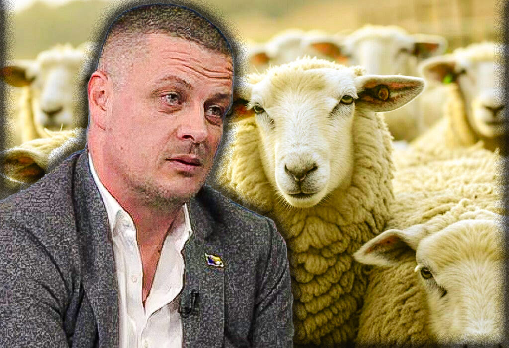 Vojin Mijatovic