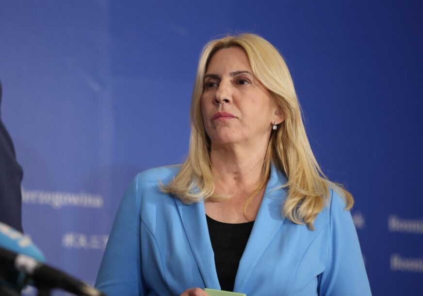 Zeljka Cvijanovic 872x610