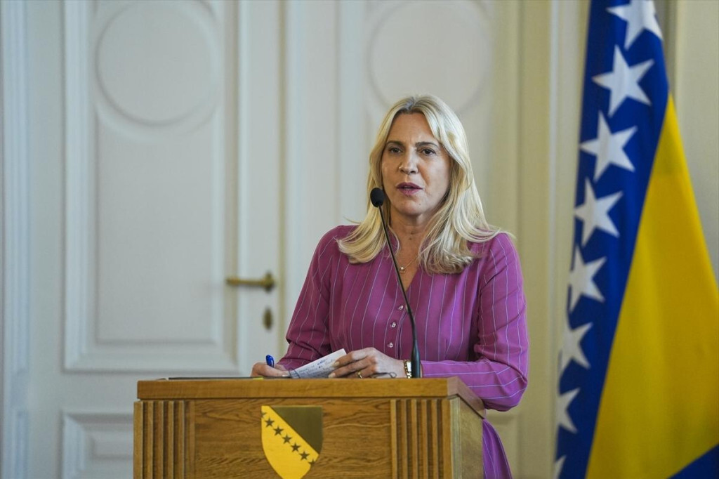 Zeljka Cvijanovic AA