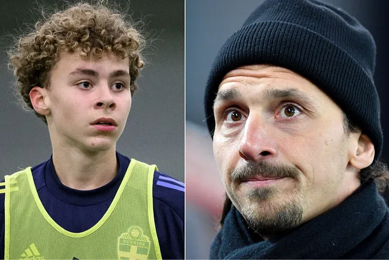 Zlatan Ibrahimovic Vincent Zlatan Seger Ibrahimovic