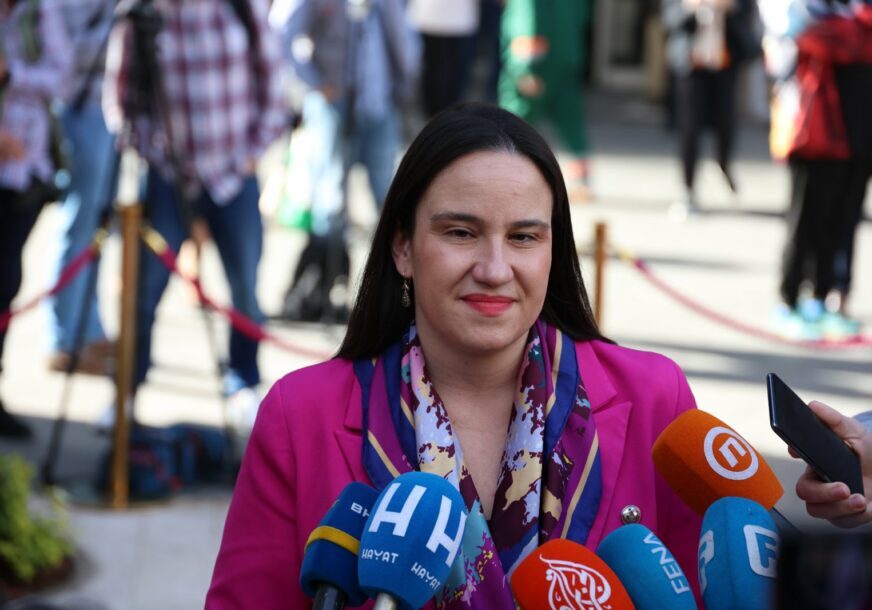 Benjamina karic 872x610