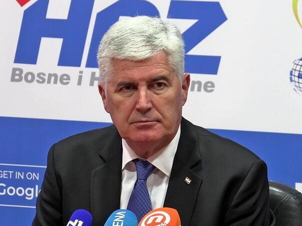 dragan covic fena