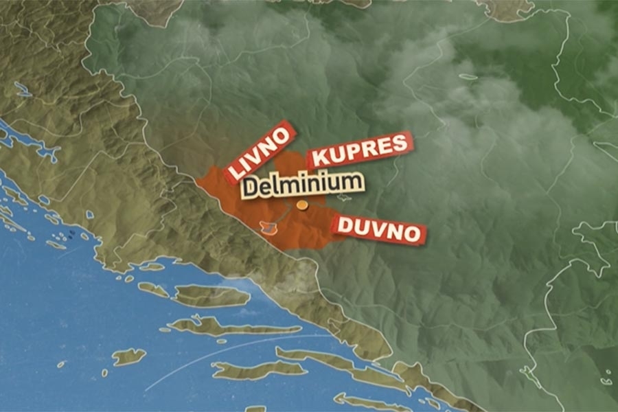 Delminuium