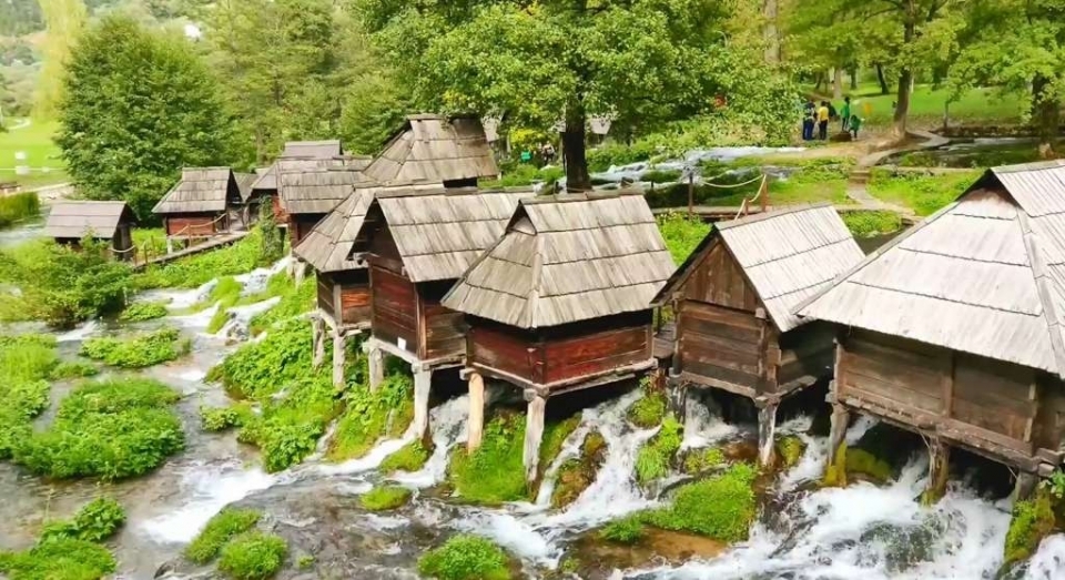 Jajce fena