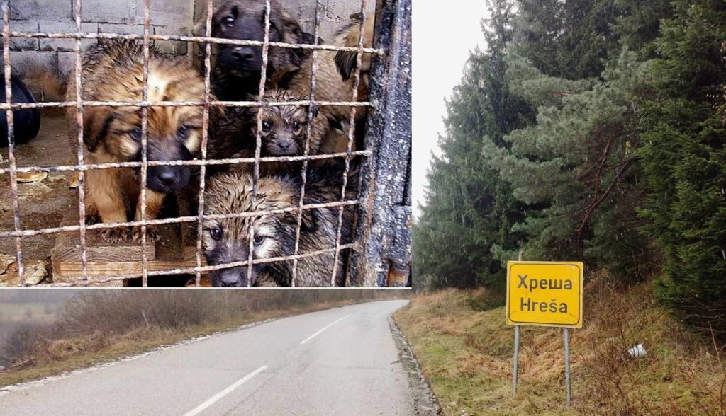 Hresa naslovna