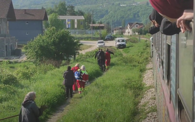 Ilijas Zenu udario voz dok je hodala po sinama