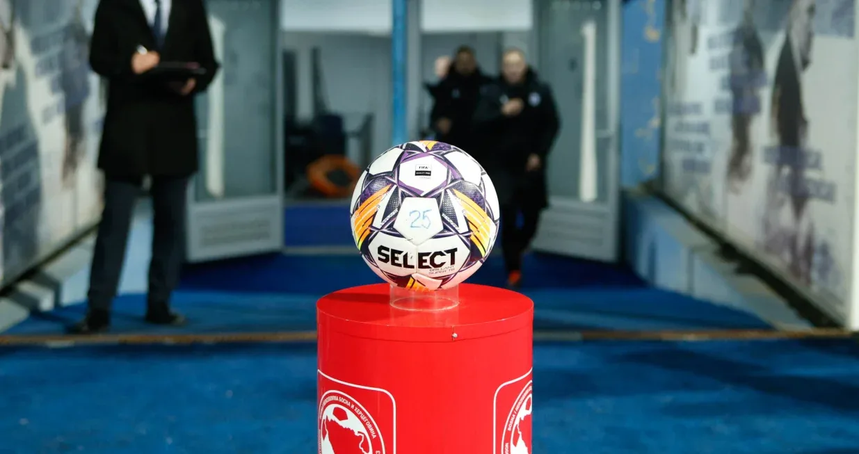 Liga bih