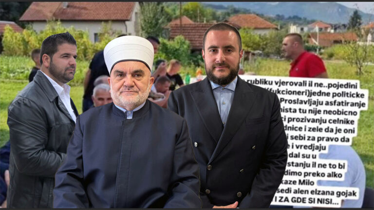Mevlud dudic usame