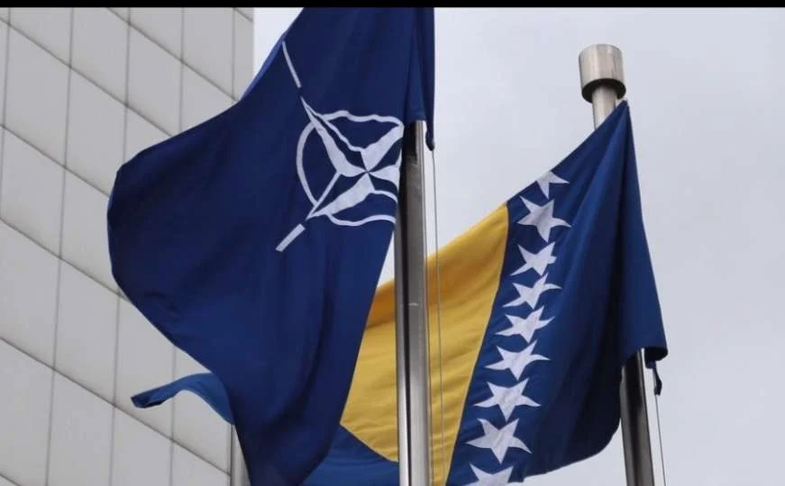 Nato bih