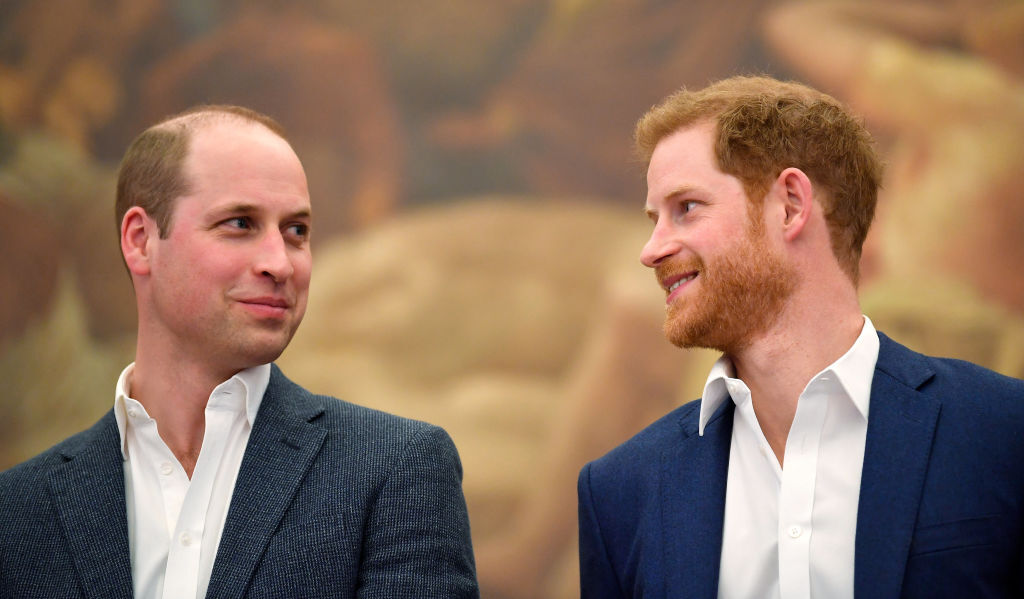 Princ william i harry