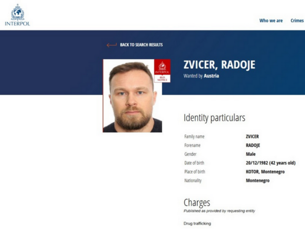 Radoje zvicer
