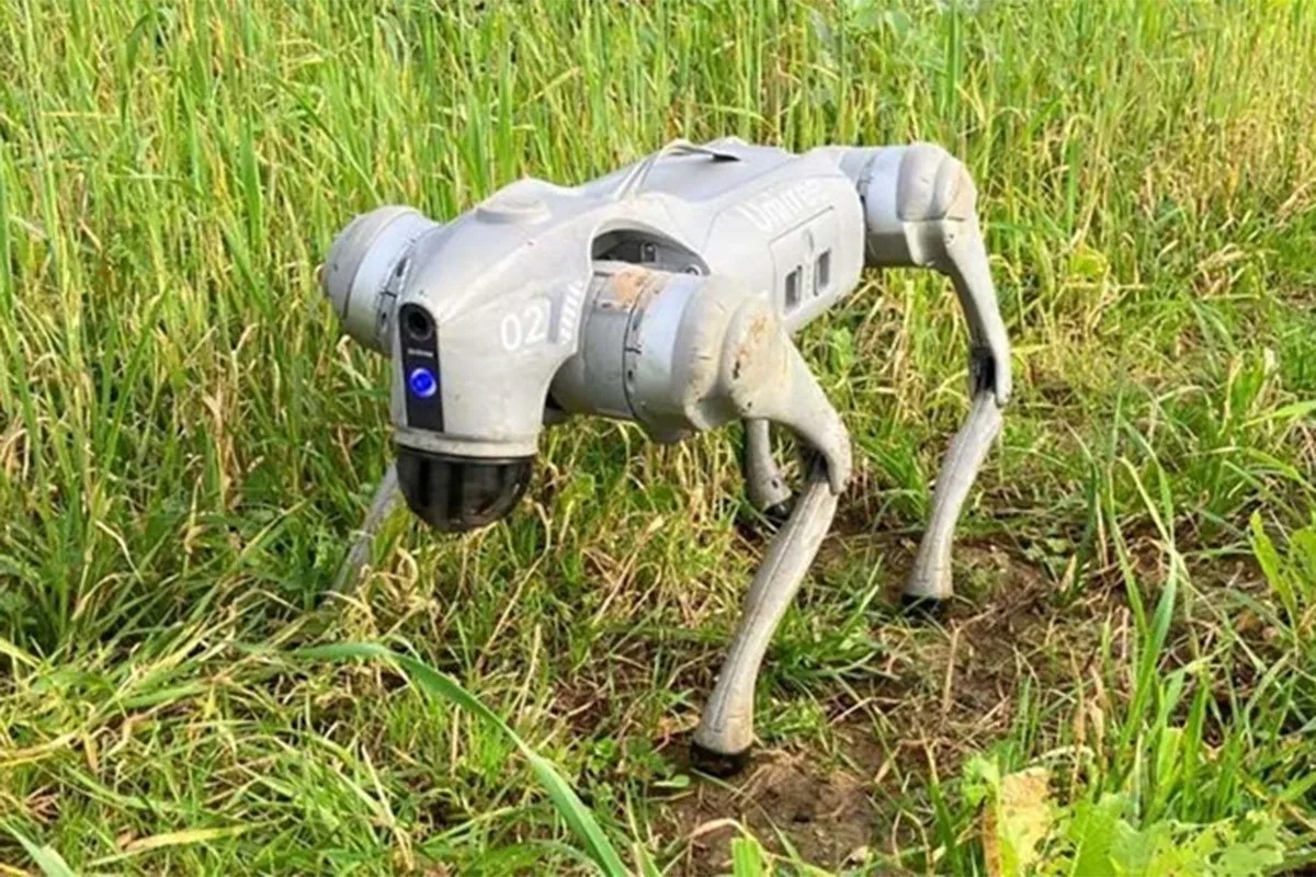 Robot