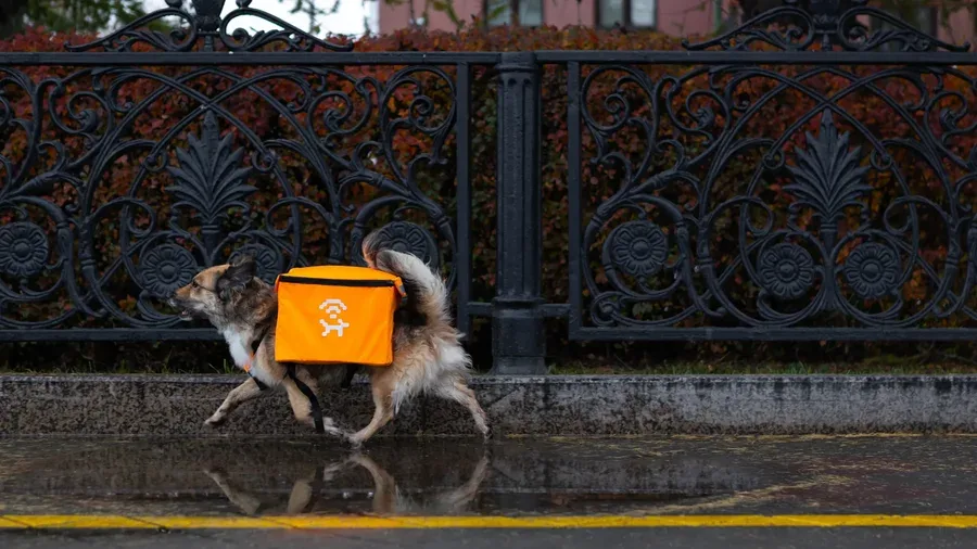 Rusija Wi-Fi psi inernet