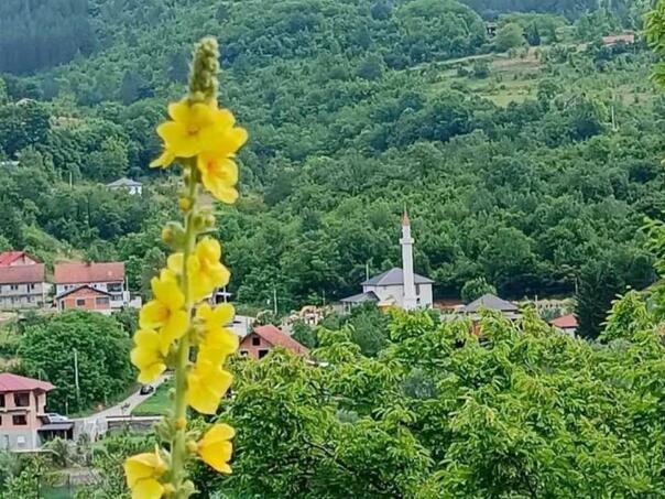 džamija u Donjem Selu