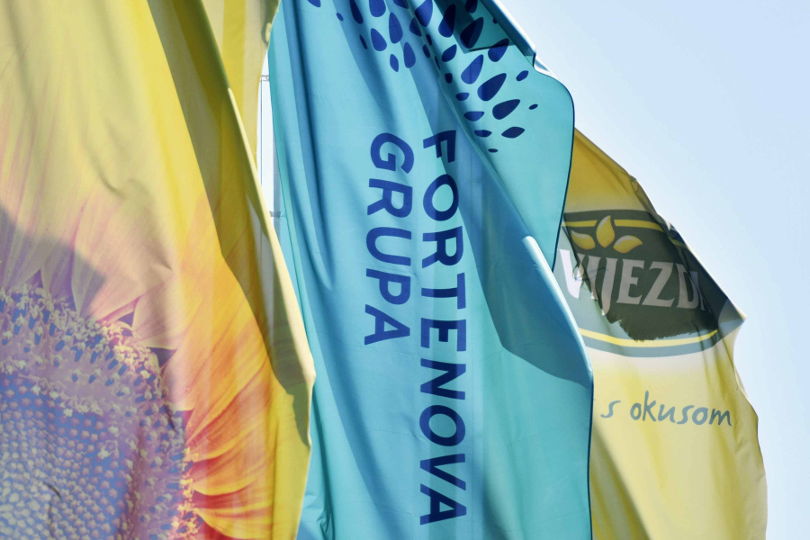 Fortenova grupa