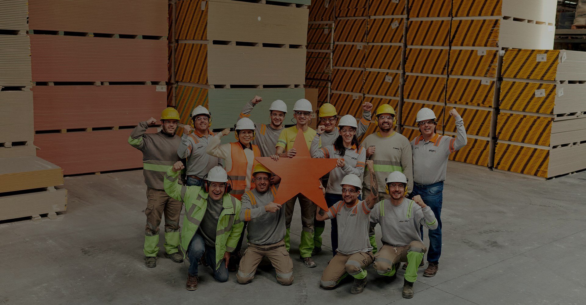 Etex Francuska