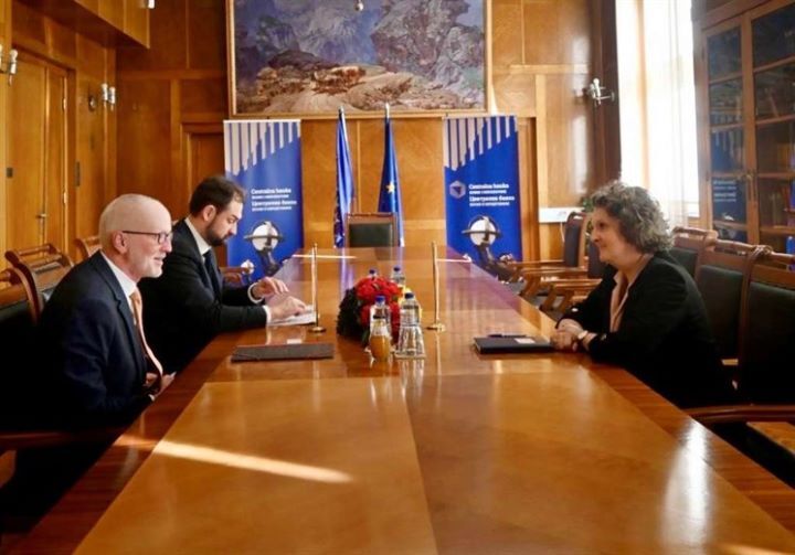 Selimovic njemacki ambasador