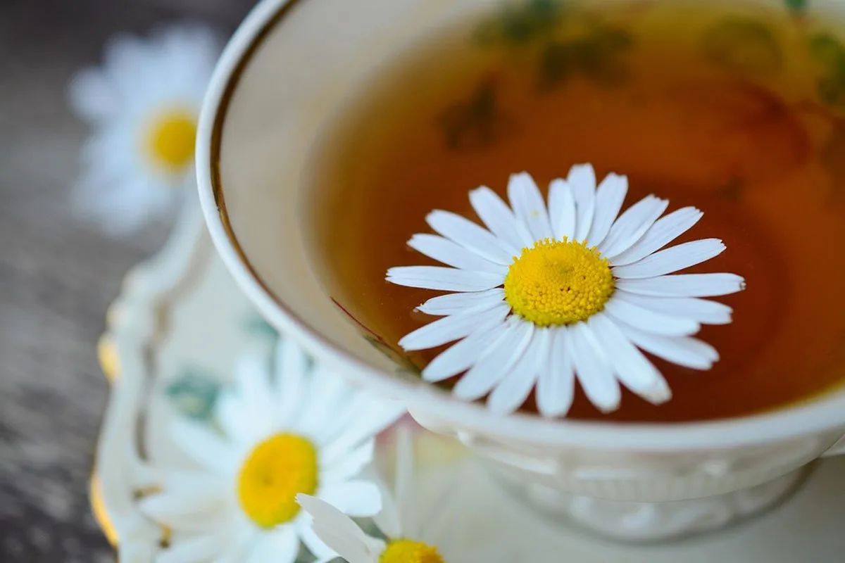 Čaj od cvijeta kamilice Foto: Pixabay