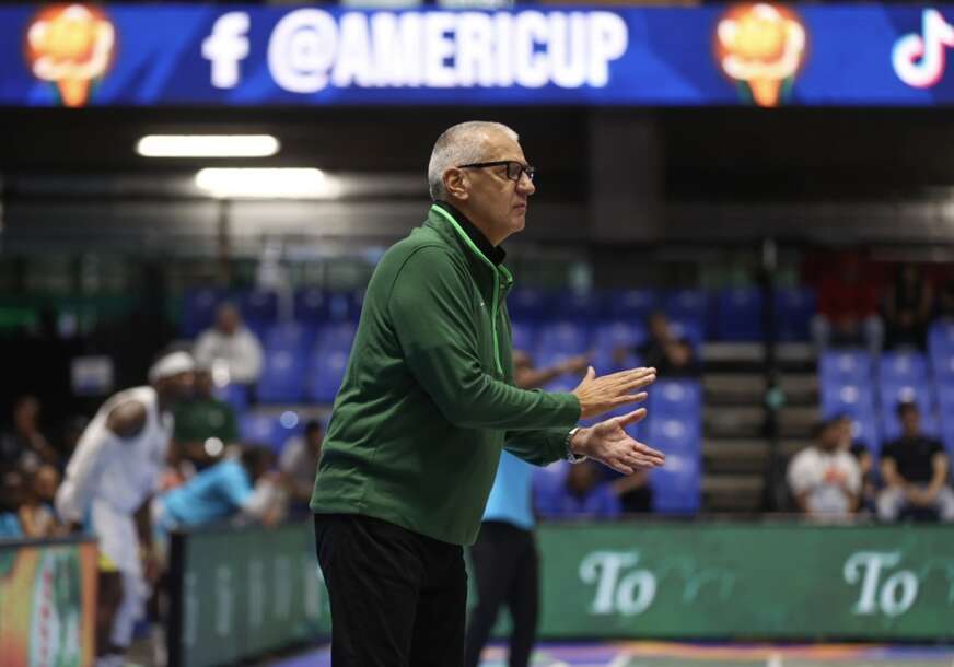 Aleksandar Petrovic Brazil 872x610